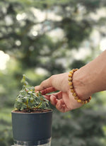 Load image into Gallery viewer, Sunstone Soul Bracelet
